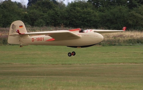 Habicht D-1901